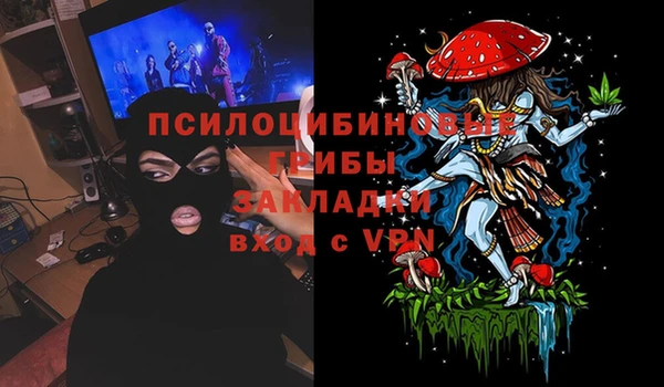 МДПВ Алзамай