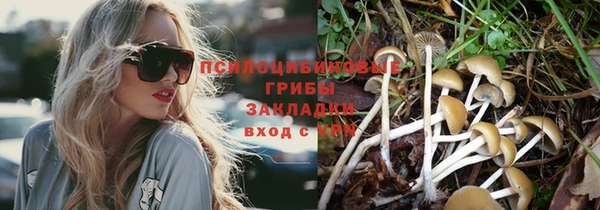 МДПВ Алзамай