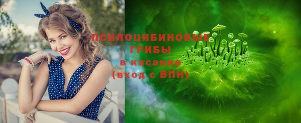 МДПВ Алзамай