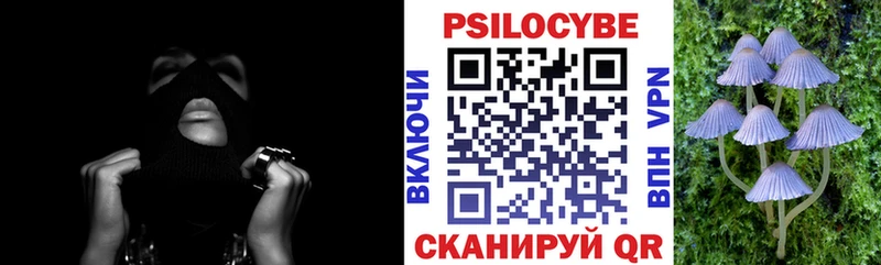 Псилоцибиновые грибы Magic Shrooms  Курганинск 