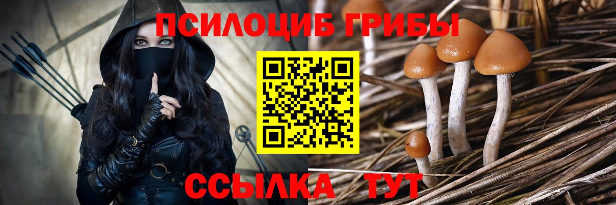 Псилоцибиновые грибы мухоморы Курганинск