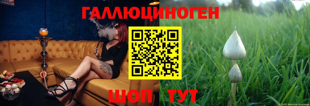 Псилоцибиновые грибы MAGIC MUSHROOMS  Вход с VPN  Курганинск  Псилоцибиновые грибы Psilocybe 