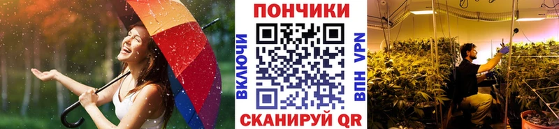 kraken tor  Курганинск  Бошки марихуана сатива 